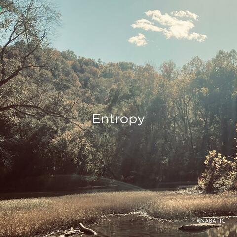 Entropy