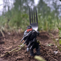 Fork In The Road