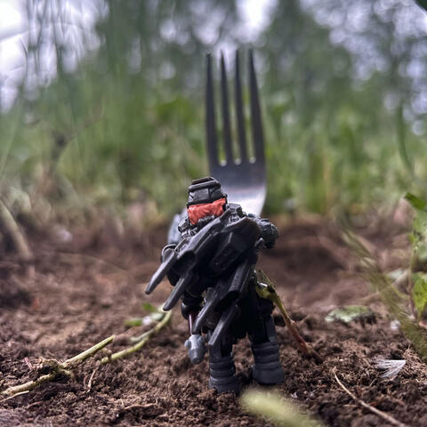Fork In The Road