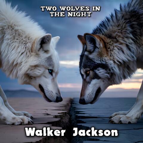 Two Wolves in the Night