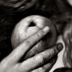 t pienso todo el d1a