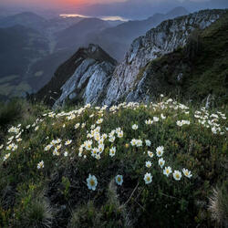 폭풍 속으로(Into the Storm)