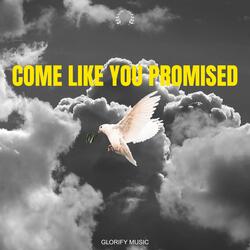 Come Like You Promised (Remix)