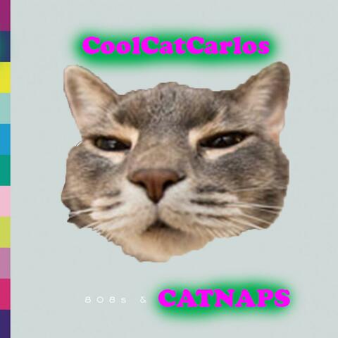 808s & Catnaps