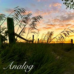 What Hearts Can't Speak