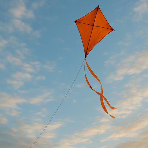 Let’s Fly With The Wind