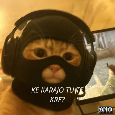 Ke Karajo Tu Te Kre?