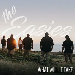 What Will it Take