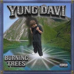 Burning Trees
