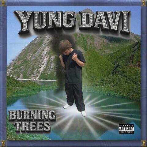 Burning Trees