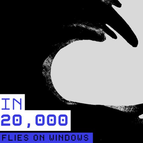 IN 20,000