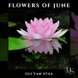 Flowers of June