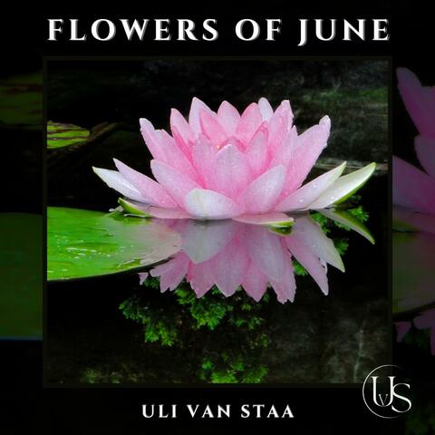 Flowers of June