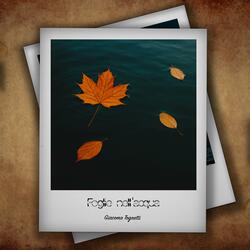 Foglie nell'acqua