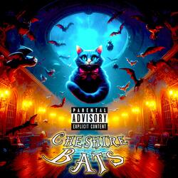 Cheshire Bats