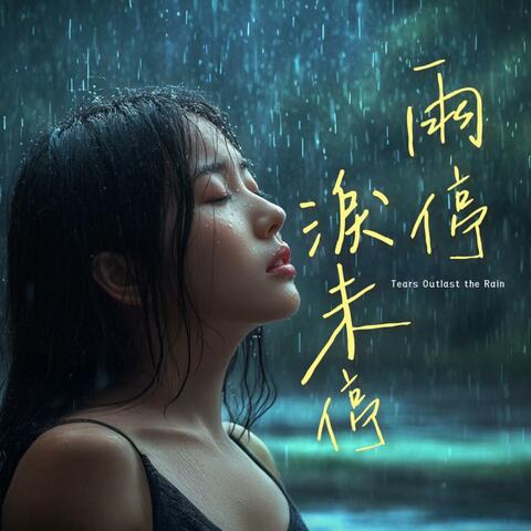 雨停淚未停
