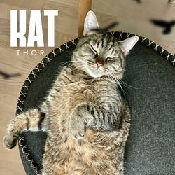 KAT