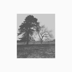 Floating Points (feat. Seher Julide)