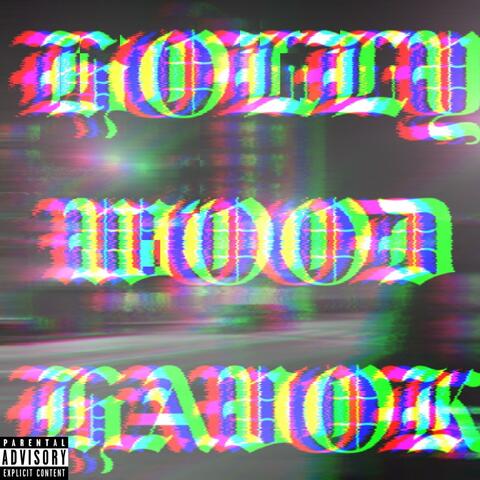 HOLLYWOODHAVOK