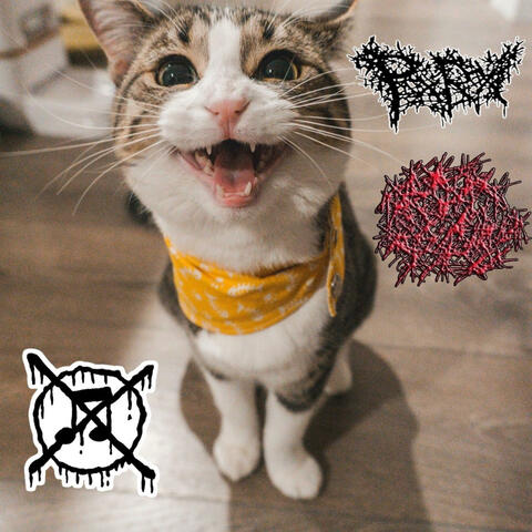 SPLIT WITH PxRx