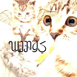 WINGS