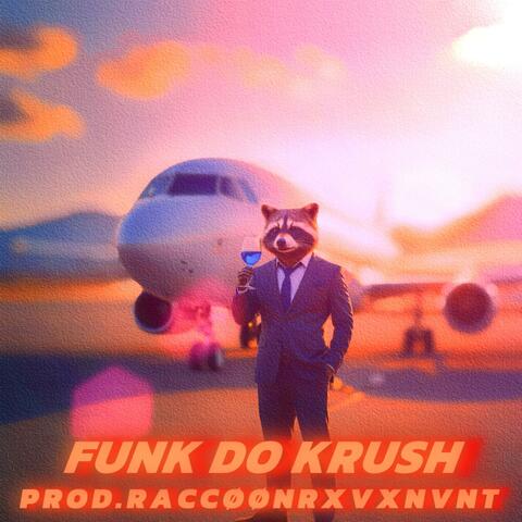 FUNK DO KRUSH