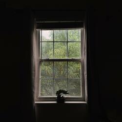 Uninvited