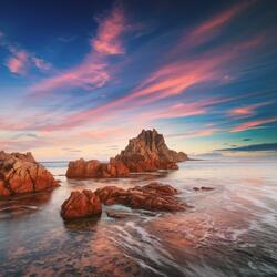 Soft Soil, Strong Heart