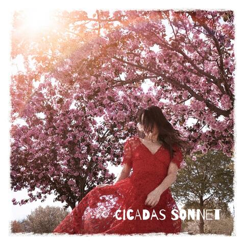 Cicadas Sonnet