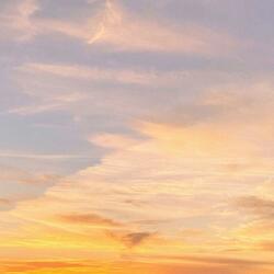 Soft Horizon