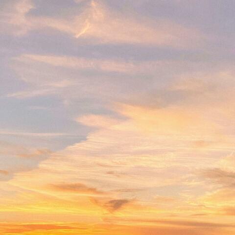 Soft Horizon