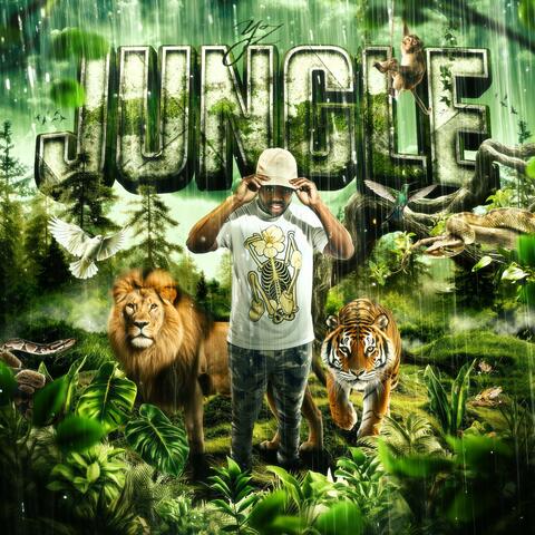 Jungle