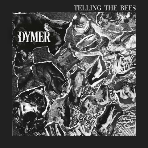 Telling The Bees