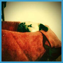 A Dog Called Sniffy