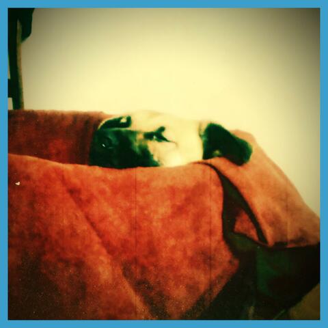 A Dog Called Sniffy