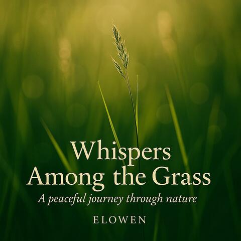 Whisper in the Grass