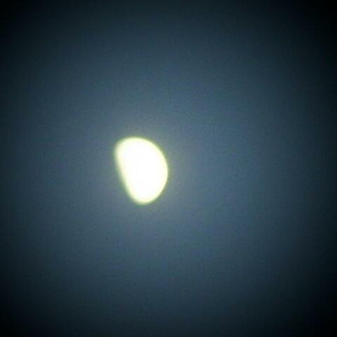 A FULL MOON (NAMED LUNA)