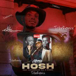 Hosh (feat. Memie & Kaychelor NLL) (Tribe Version)