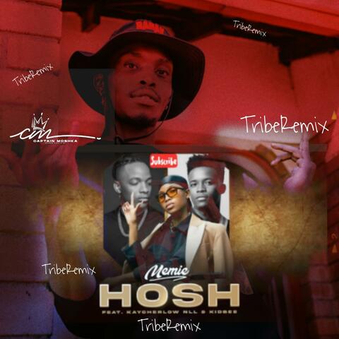 Hosh (feat. Memie & Kaychelor NLL) [Tribe Version]