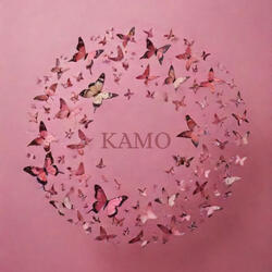 Butterfly's Dream
