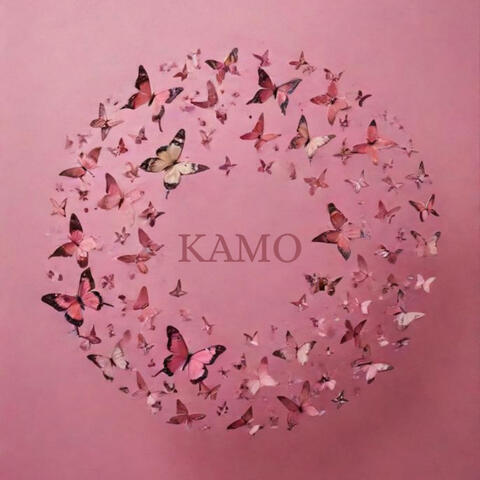Butterfly's Dream
