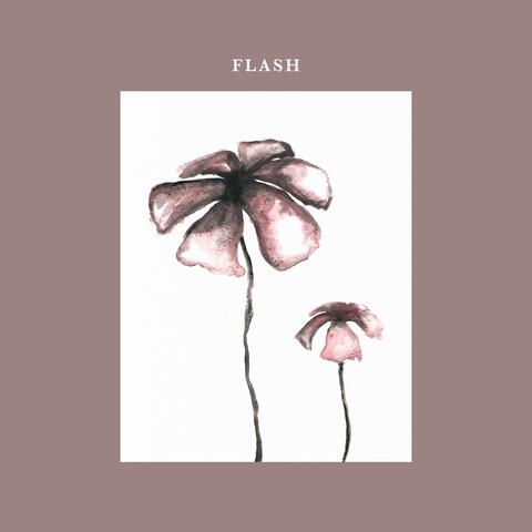 Flash