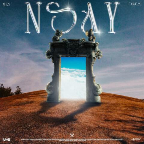 NSAY (feat. O.M.C29)
