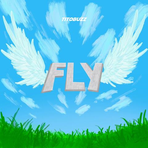 Fly
