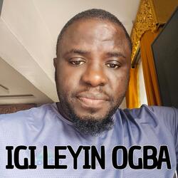 IGI LEYIN OGBA