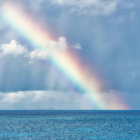 This endless dream brightens your day MontaRap (Radio Edit)