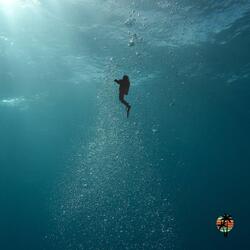 Fell Into Blue (feat. Calen Gray)