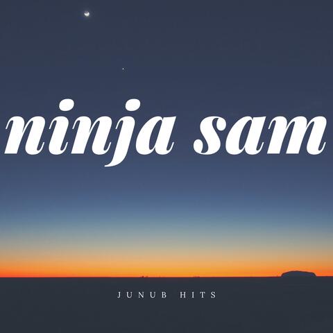 Best of Ninja Sam
