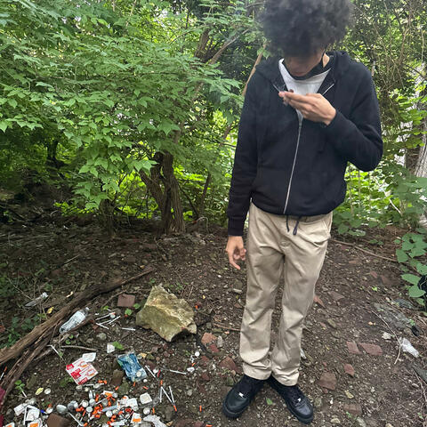 bipolar ft 06jay