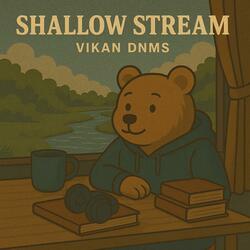 Shallow Stream